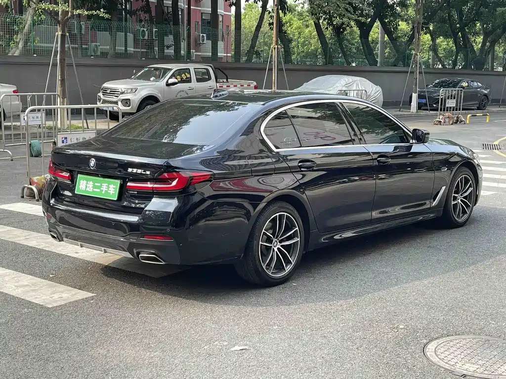 BMW 5 Series New Energy 2021