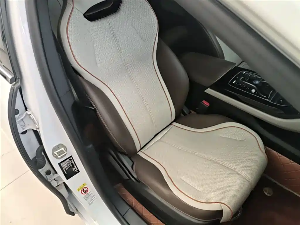 BYD Qin PLUS 2024 — фото 25