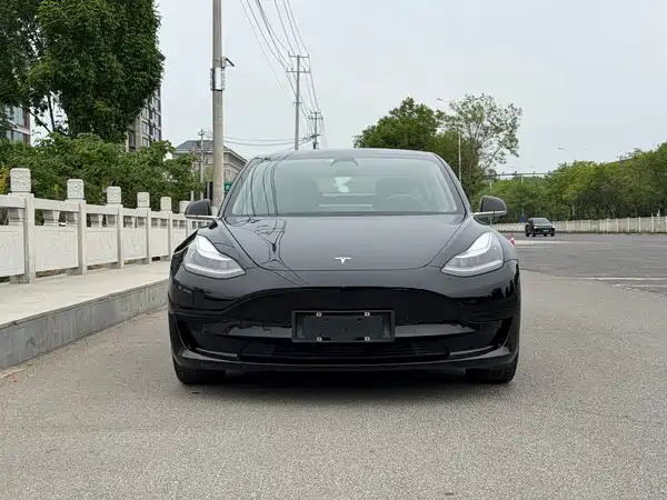 Tesla Model 3 2020