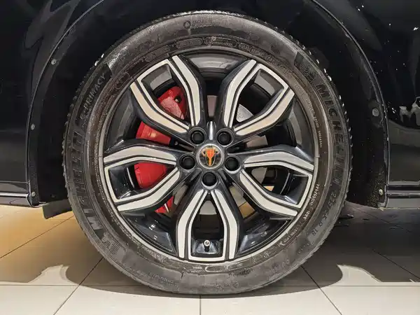 Hongqi HQ9 2023