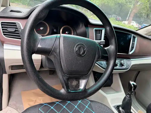 Dongfeng Lingzhi 2018