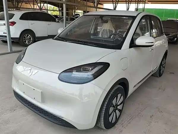 Wuling Bingo 2024