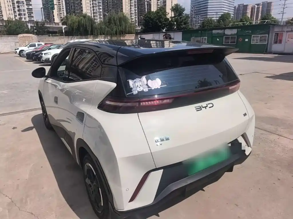 BYD Seagull 2024