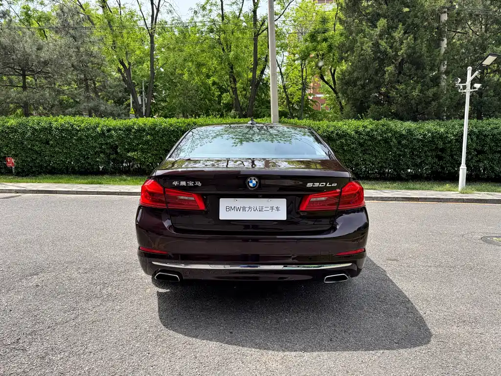 BMW 5 Series New Energy 2019 — фото 4