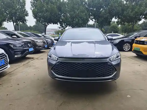BYD Qin PLUS 2024