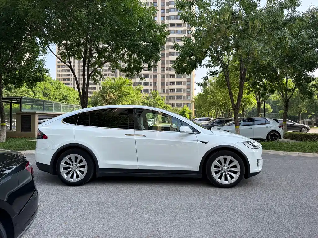 Tesla Model X 2017 — фото 8