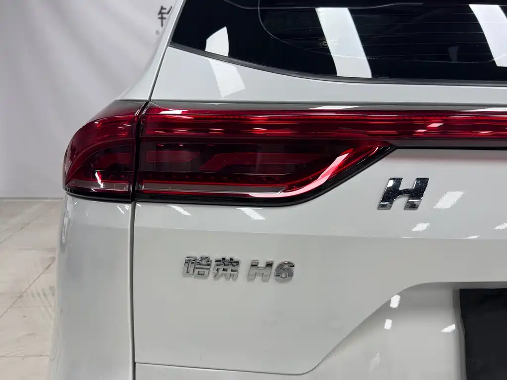 Haval H6 2022 — фото 9
