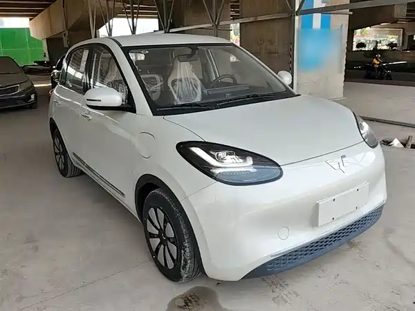 Wuling Bingo 2024