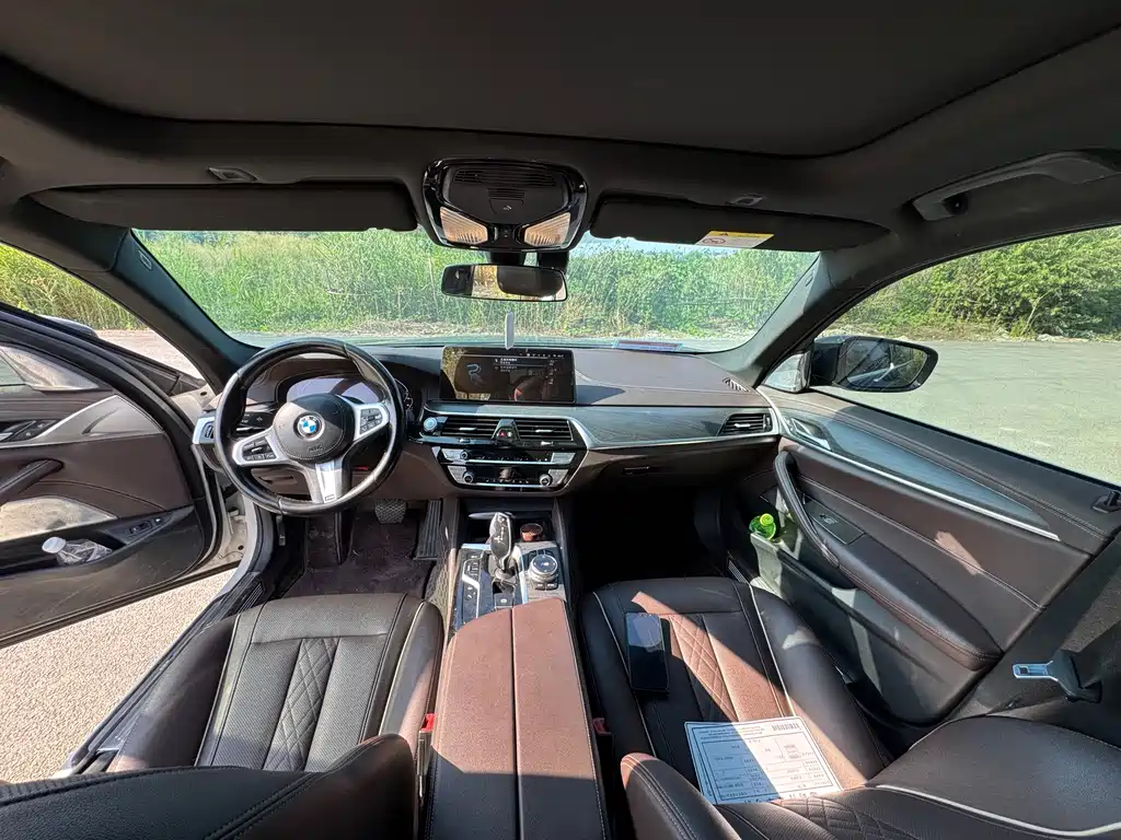BMW 5 Series New Energy 2021