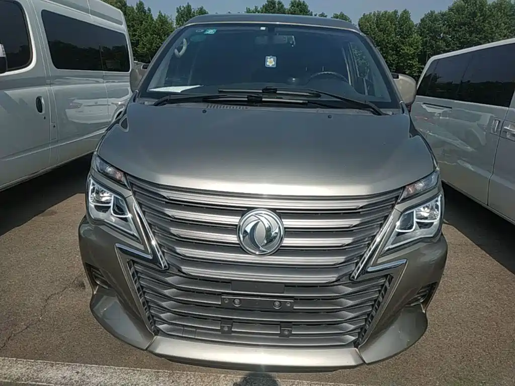 Dongfeng Lingzhi 2021