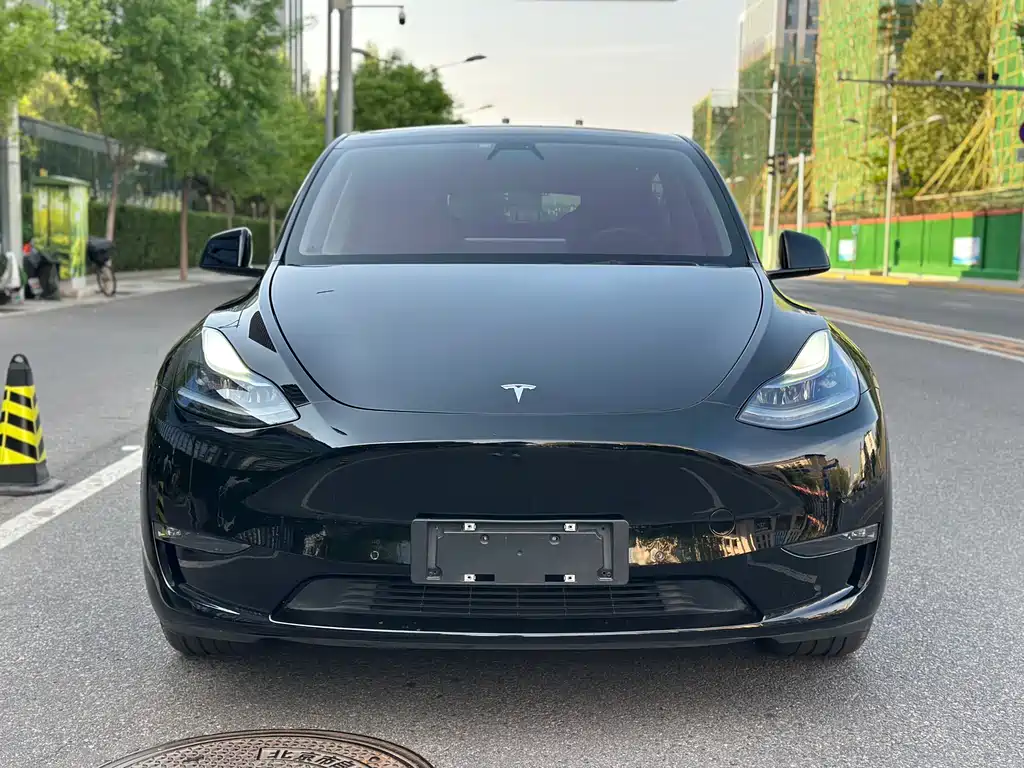 Tesla Model Y 2021 — фото 2