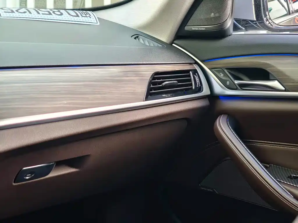 BMW 5 Series 2017 — фото 18