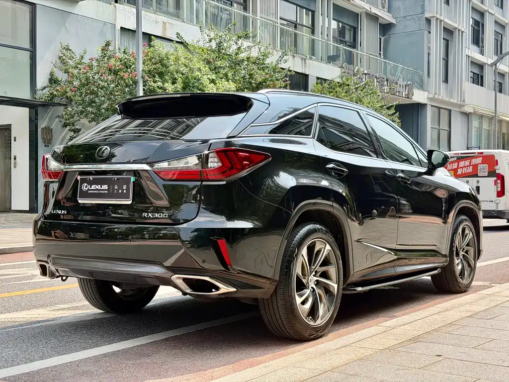 Lexus RX 2016 — фото 21