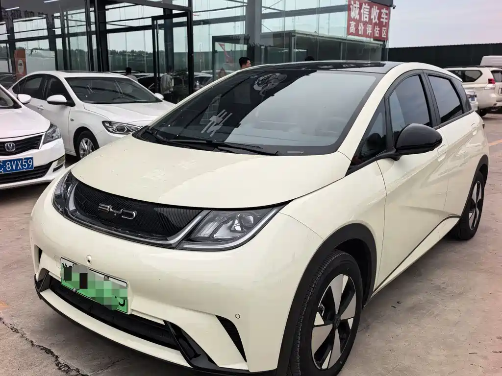 BYD Dolphin 2024
