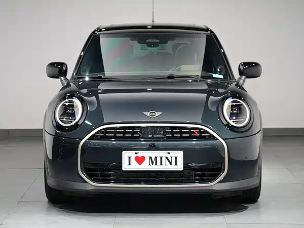 MINI MINI 2025