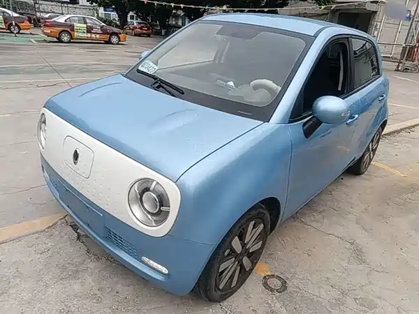 Ora Black Cat 2021