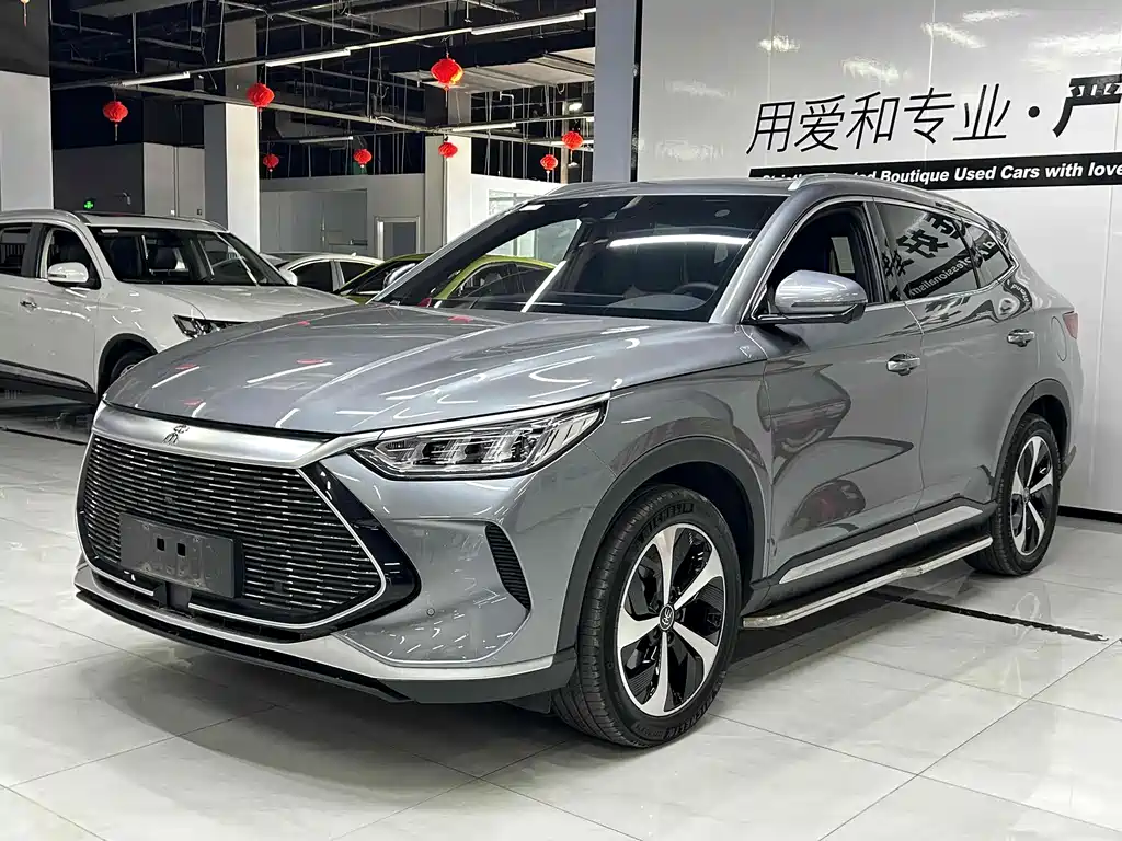 BYD PLUS New Energy 2022 — фото 2