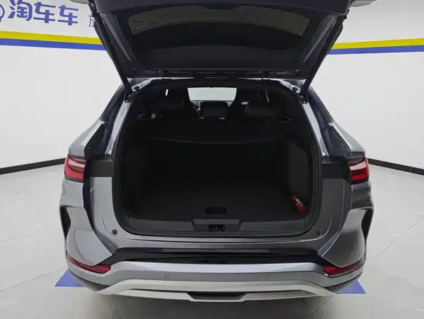 BYD Song PLUS New Energy 2024