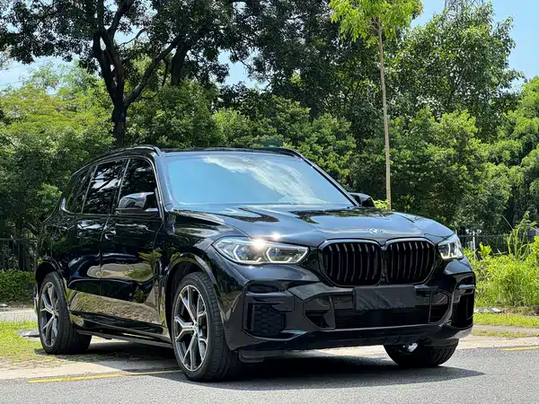 BMW X5 2022