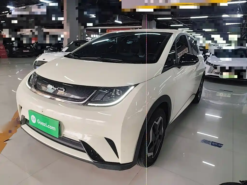 BYD Dolphin 2022