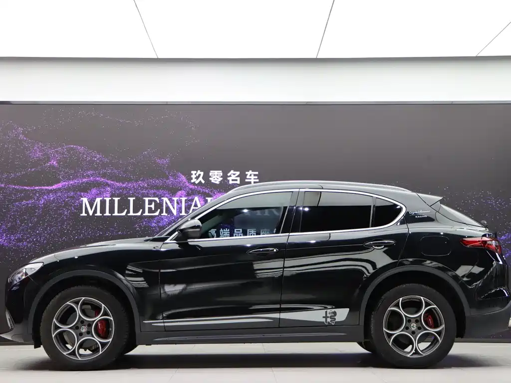 Alfa Romeo Stelvio 2020 — фото 8