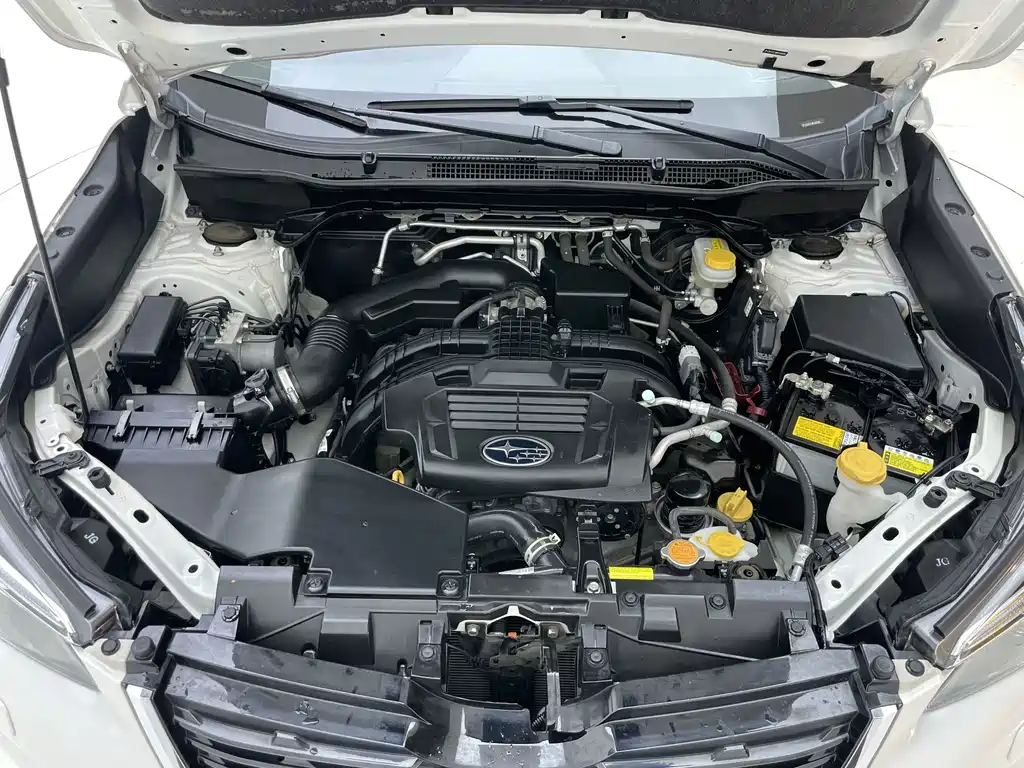 Subaru Forester 2020 — фото 20