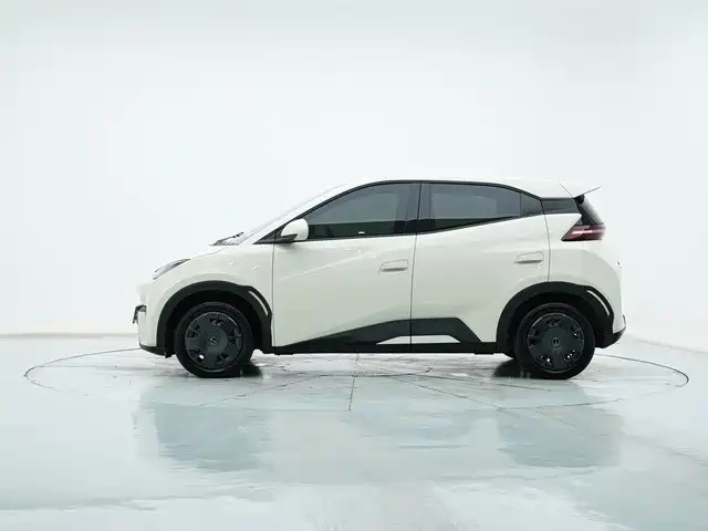 BYD Seagull 2024