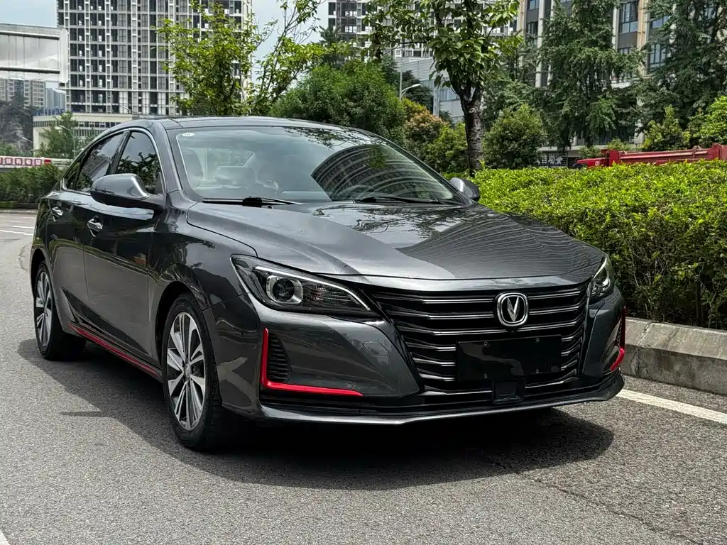 Changan Ruicheng CC 2021 — фото 3