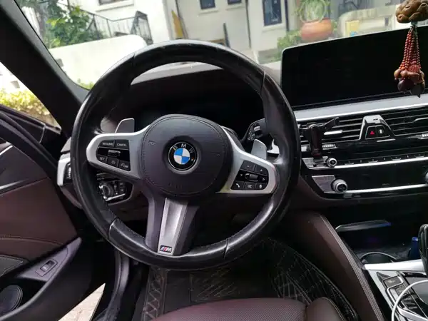 BMW 5 Series 2021