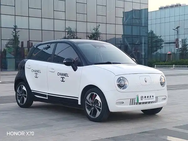 Ora Black Cat 2022