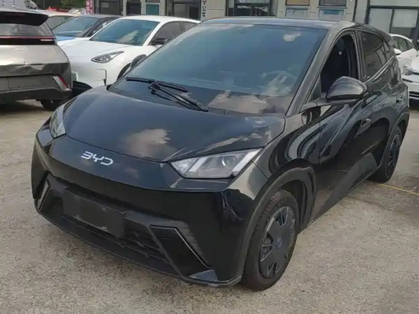 BYD Seagull 2024