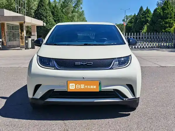 BYD Dolphin 2023