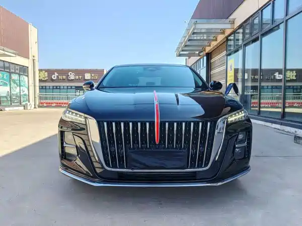 Hongqi H5 2024