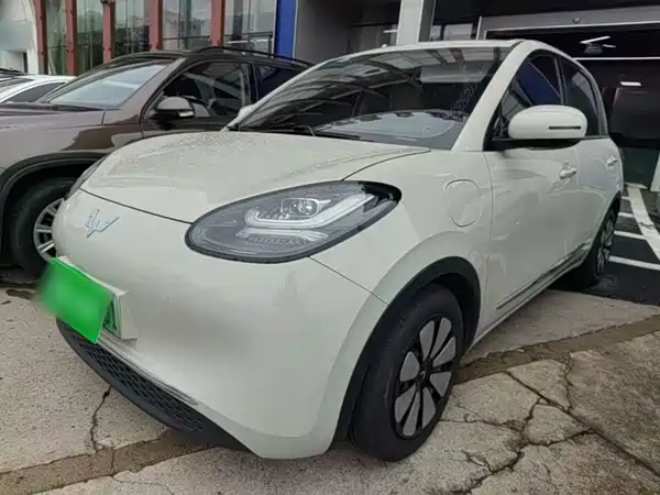 Wuling Bingo 2024