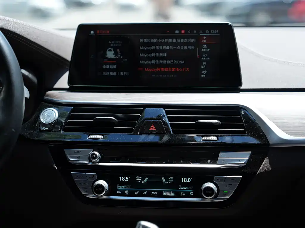 BMW 5 Series 2019 — фото 10