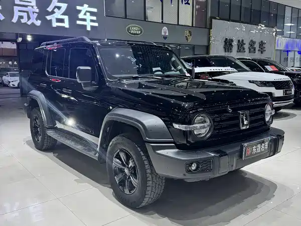 Tank 300 2024