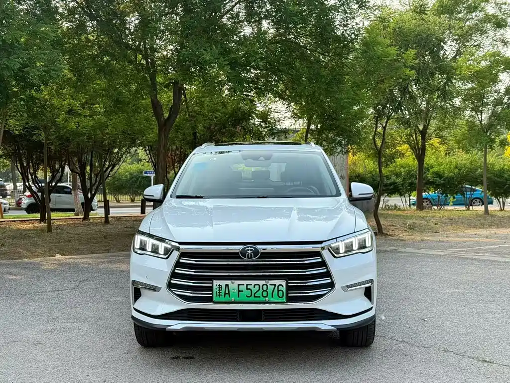 BYD Pro New Energy 2020 — фото 2