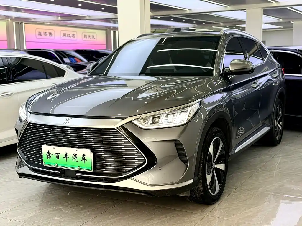 BYD Song PLUS New Energy 2023 — фото 1