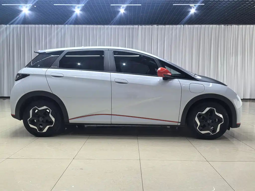 BYD Dolphin 2022