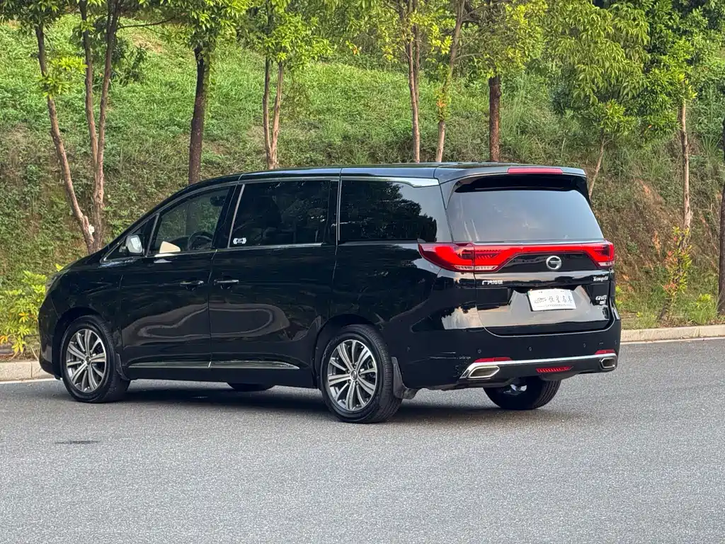 GAC Trumpchi M8 2018 — фото 6