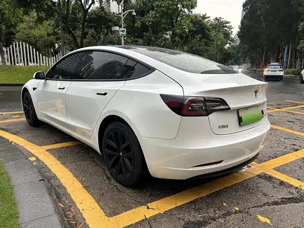 Tesla Model 3 2020