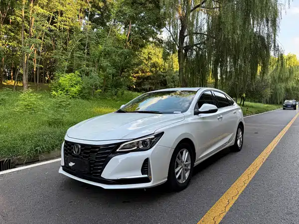 Changan Ruicheng CC 2022
