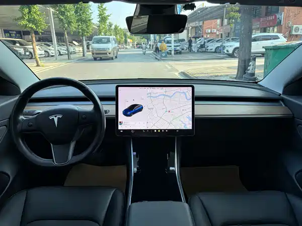 Tesla Model 3 2019