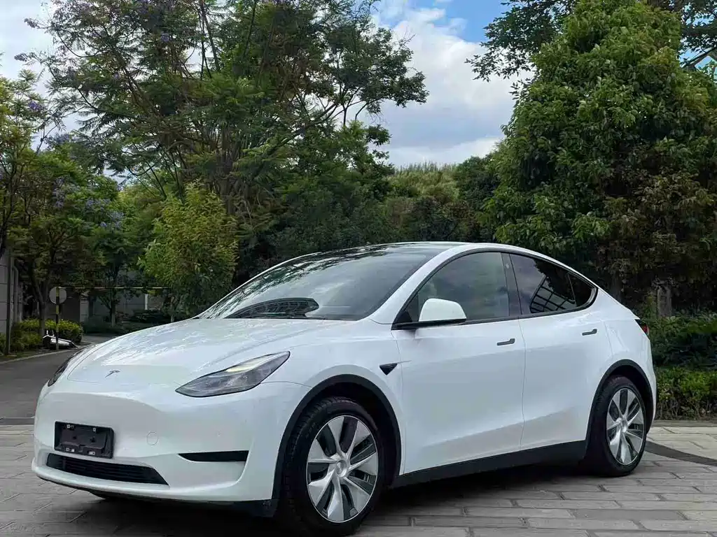 Tesla Model Y 2023 — фото 1