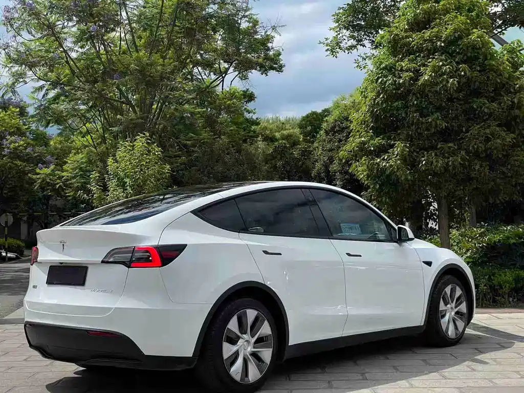 Tesla Model Y 2023 — фото 4