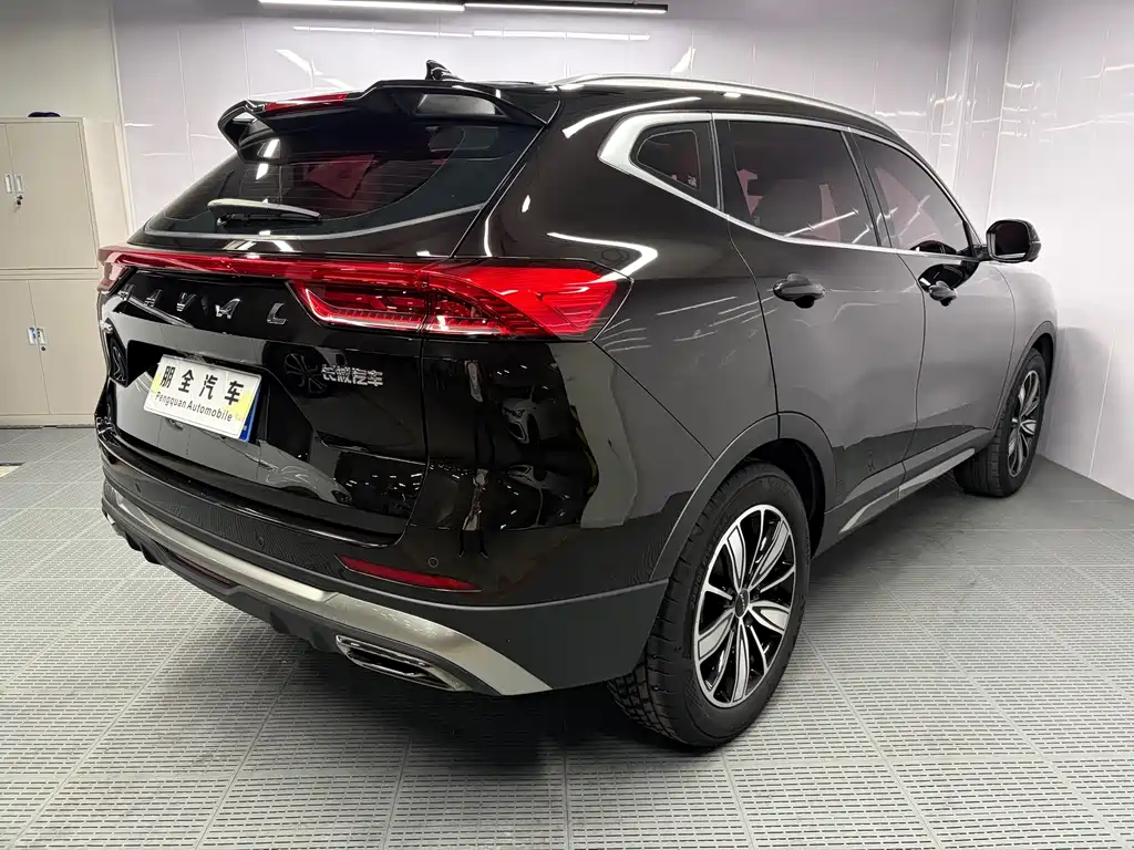 Haval H6 2023 — фото 18