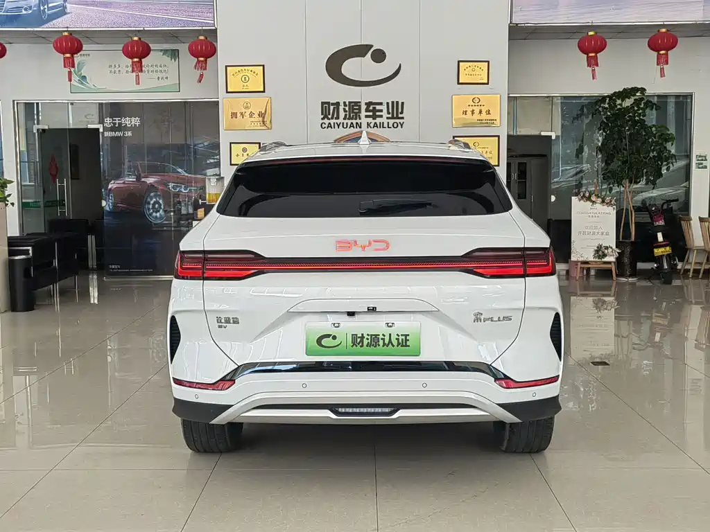 BYD PLUS New Energy 2025 — фото 5