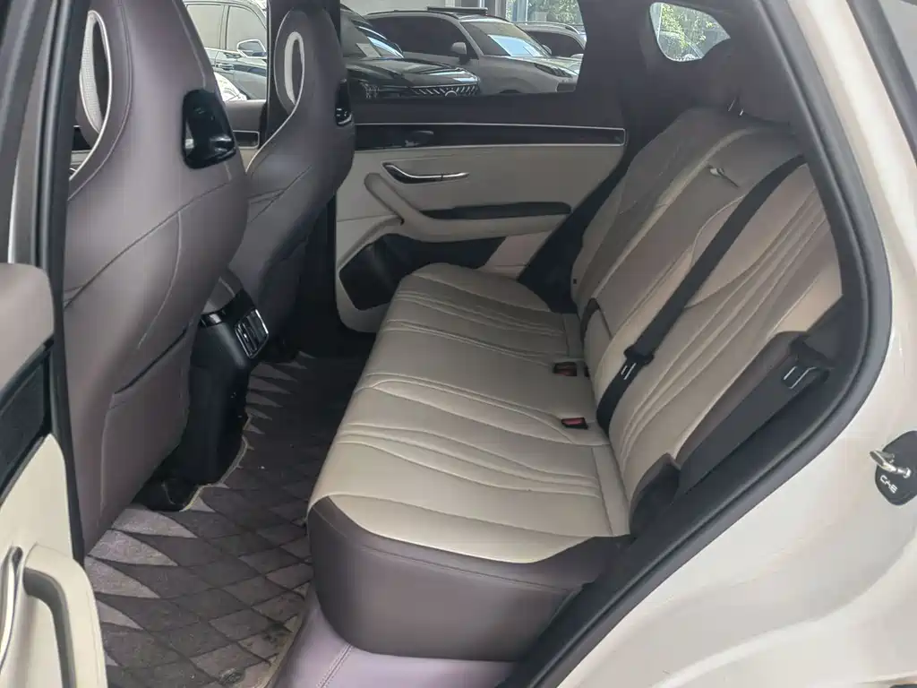 BYD PLUS New Energy 2025 — фото 11