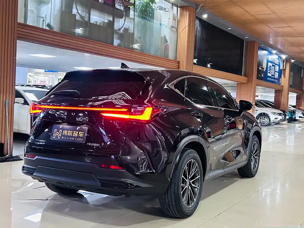 Lexus NX 2024
