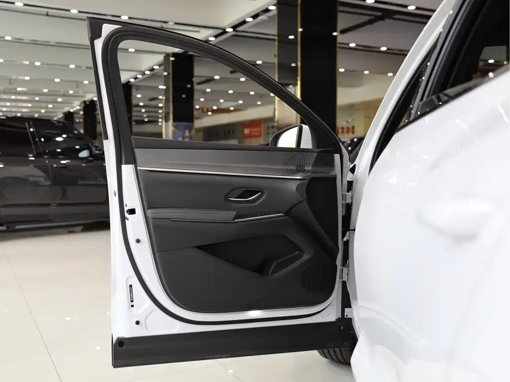 BYD Pro New Energy 2025 — фото 5